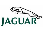 Jaguar перепрошивка блока srs фото